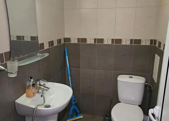 Cтаи за гости бърдареви 3* Bansko