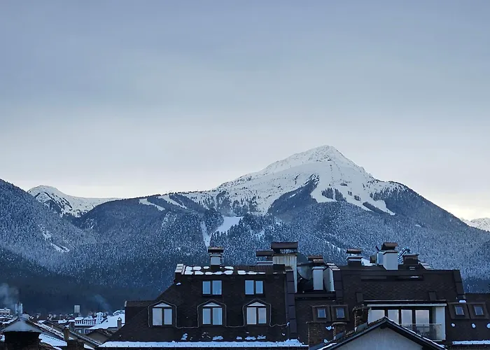 Cтаи за гости бърдареви 3* Bansko