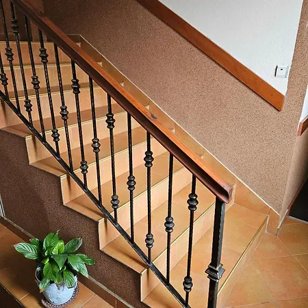 Maison d'hôtes Cтаи за гости бърдареви 3*