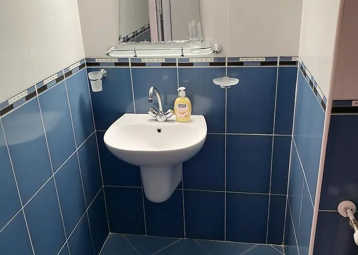 Gasthuis Cтаи за гости бърдареви 3*